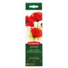 Vodene boje 12boja+četkica+paleta-poklopac, Academy Derwent