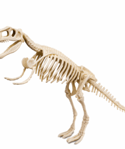Alternative view of Kreativni set ABS plastika Exavate T-Rex 74351, Deli
