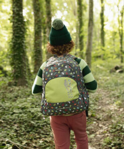 Ranac školski ergonomski 32x44x18 cm 21l Climb Gabol