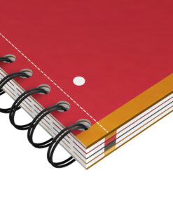 Sveska Oxford International Filingbook A4+ linije