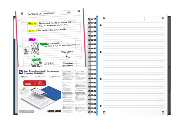 Sveska Oxford Office Essentials Europeanbook A4+ linije, 4 Subject