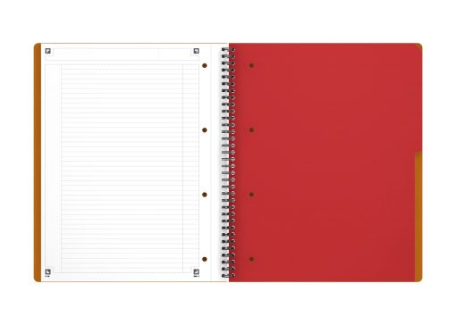 Sveska Oxford International Activebook A4+ linije