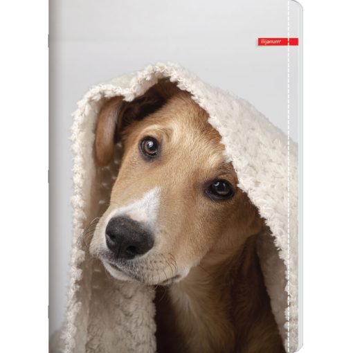 Sveska A5 52L DIKTO PETS, Ilijanum - Image 2