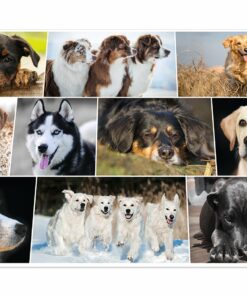 Alternative view of Podloga za radni sto 550x350mm PSI-DOGS, Herma