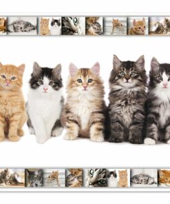 Alternative view of Podloga za radni sto 550x350mm MACE-CATS, Herma