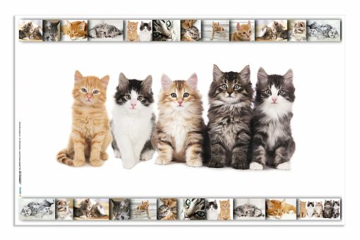 Podloga za radni sto 550x350mm MACE-CATS, Herma - Image 2