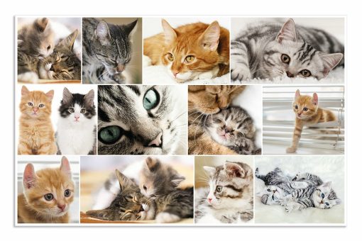Podloga za radni sto 550x350mm MACE-CATS, Herma - Image 3