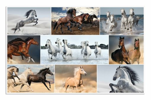 Podloga za radni sto 550x350mm KONJI-HORSES, Herma - Image 3