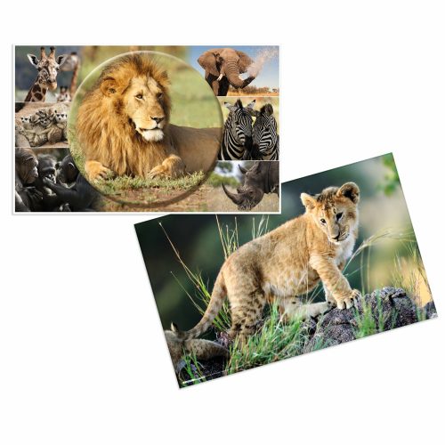 Podloga za radni sto 550x350mm AFRICA, Herma