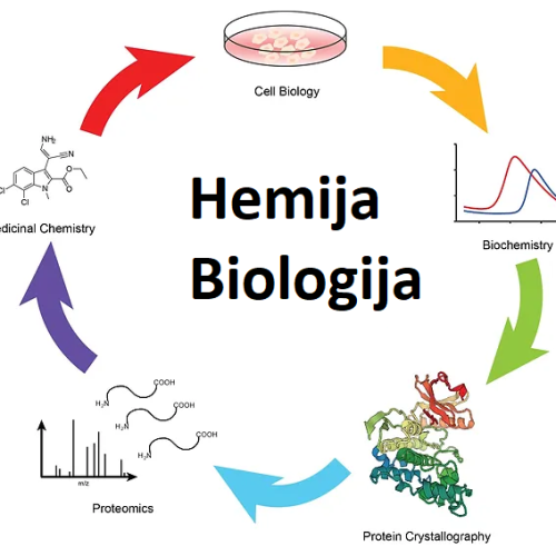Hemija, Biologija