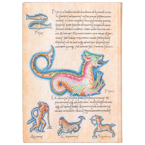 Notes 13x18cm-midi linije 88L Astronomica Paperblanks FB7289-8!! - Image 2