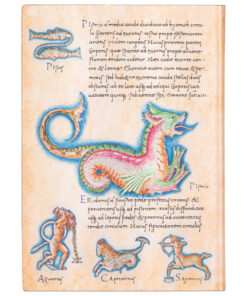 Alternative view of Notes 13x18cm-midi linije 88L Astronomica Paperblanks FB7289-8!!