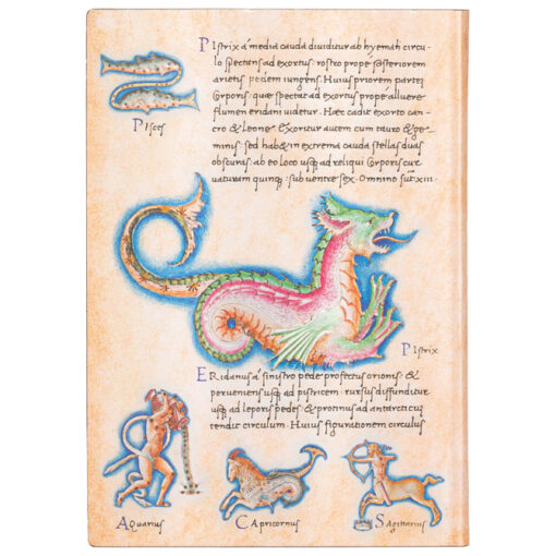 Notes 13x18cm-midi linije 88L Astronomica Paperblanks FB7289-8!! - Slika 2