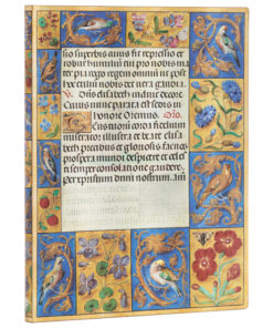 Notes  9,5x14cm-mini linije 104L s gumicom Ancient Illumination Flexis Paperblanks FB9395-4!!