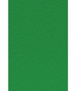 Karton slikarski TIZIANO A4 160gr BILIARDO 1/50, Fabriano
