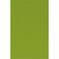 Karton slikarski TIZIANO A4 160gr PISTACCHIO 1/50, Fabriano